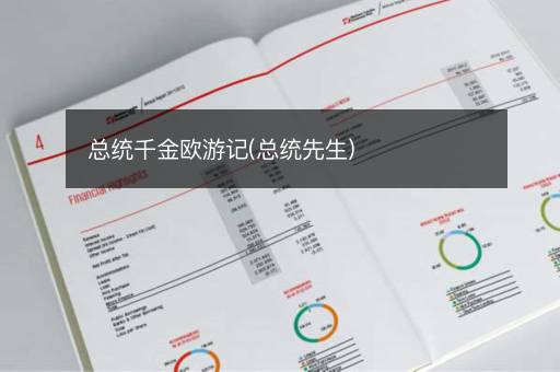 总统千金欧游记(总统先生)