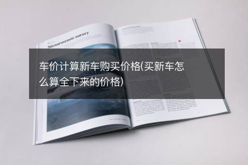 车价计算新车购买价格(买新车怎么算全下来的价格)