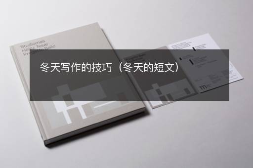 冬天写作的技巧（冬天的短文）