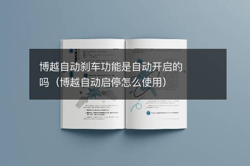 博越自动刹车功能是自动开启的吗（博越自动启停怎么使用）