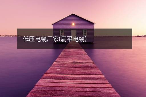 低压电缆厂家(扁平电缆)