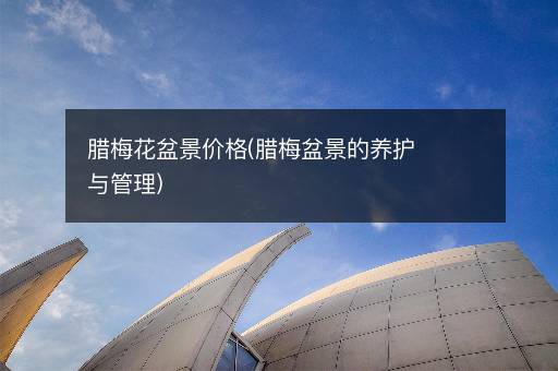 腊梅花盆景价格(腊梅盆景的养护与管理)