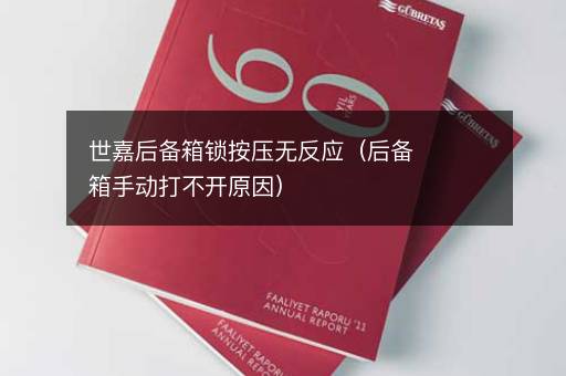 世嘉后备箱锁按压无反应（后备箱手动打不开原因）