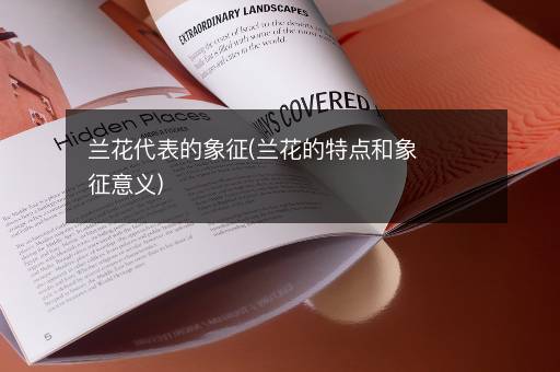 兰花代表的象征(兰花的特点和象征意义)
