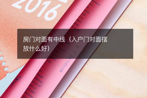 房门对面有中线（入户门对面摆放什么好）