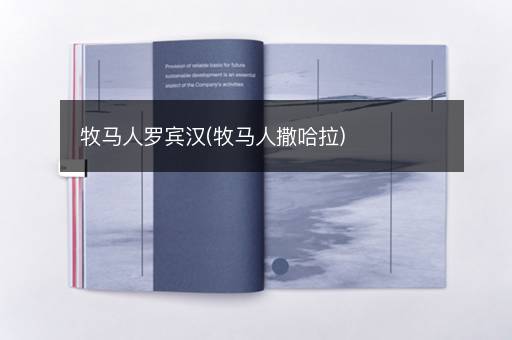牧马人罗宾汉(牧马人撒哈拉)