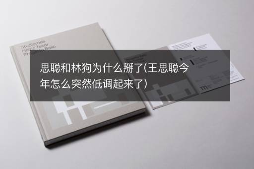 思聪和林狗为什么掰了(王思聪今年怎么突然低调起来了)