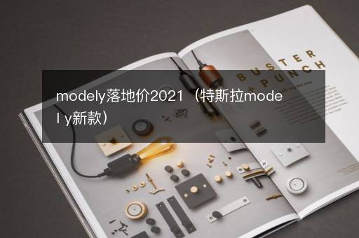 modely落地价2021（特斯拉model y新款）