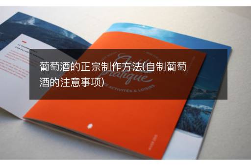 葡萄酒的正宗制作方法(自制葡萄酒的注意事项)