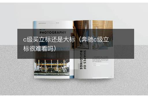 c级买立标还是大标（奔驰c级立标很难看吗）