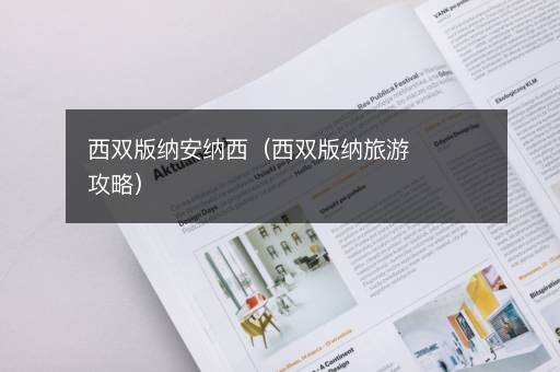 西双版纳安纳西（西双版纳旅游攻略）