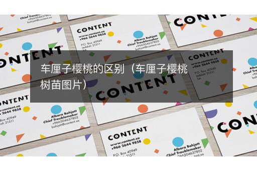 车厘子樱桃的区别（车厘子樱桃树苗图片）