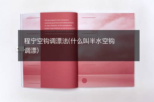 程宁空钩调漂法(什么叫半水空钩调漂)