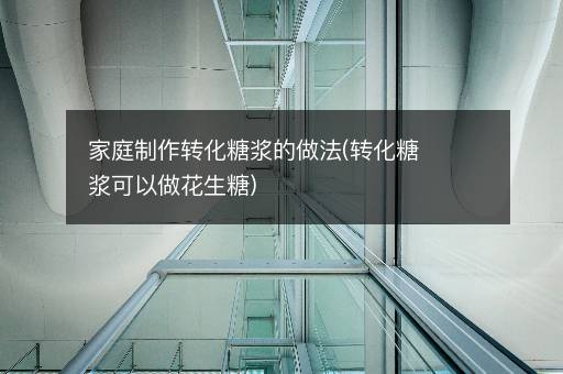 家庭制作转化糖浆的做法(转化糖浆可以做花生糖)