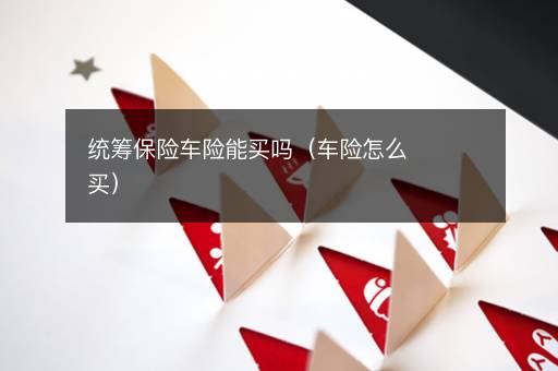 统筹保险车险能买吗（车险怎么买）