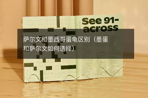 萨尔文和墨西哥蛋龟区别（墨蛋和萨尔文如何选择）
