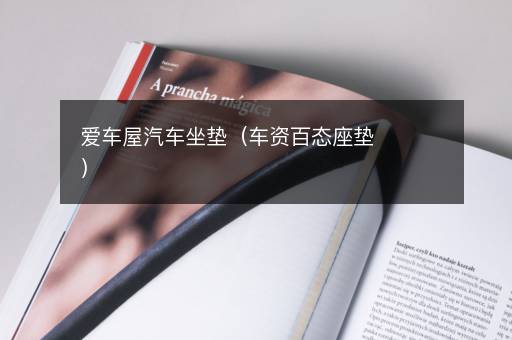 爱车屋汽车坐垫（车资百态座垫）