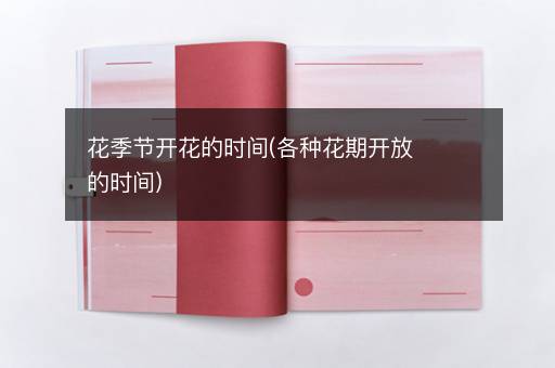 花季节开花的时间(各种花期开放的时间)