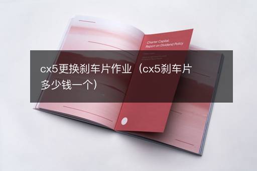 cx5更换刹车片作业（cx5刹车片多少钱一个）