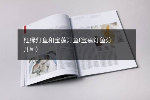 红绿灯鱼和宝莲灯鱼(宝莲灯鱼分几种)