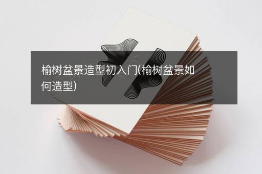 榆树盆景造型初入门(榆树盆景如何造型)