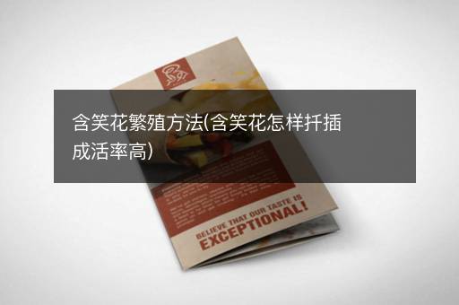 含笑花繁殖方法(含笑花怎样扦插成活率高)