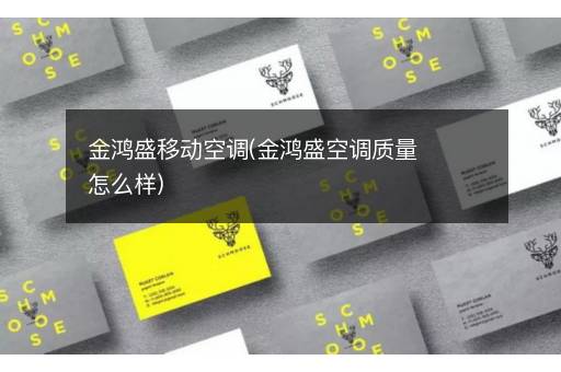 金鸿盛移动空调(金鸿盛空调质量怎么样)
