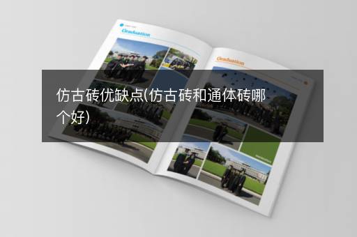 仿古砖优缺点(仿古砖和通体砖哪个好)