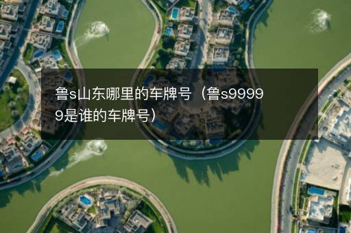 鲁s山东哪里的车牌号（鲁s99999是谁的车牌号）
