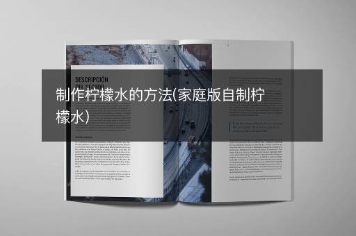 制作柠檬水的方法(家庭版自制柠檬水)