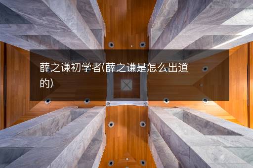 薛之谦初学者(薛之谦是怎么出道的)