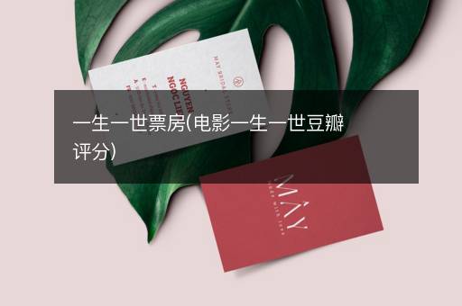 一生一世票房(电影一生一世豆瓣评分)