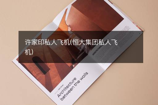 许家印私人飞机(恒大集团私人飞机)