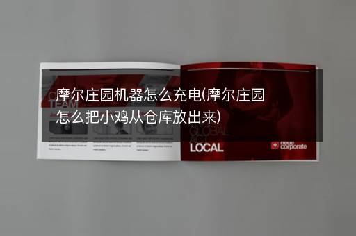 摩尔庄园机器怎么充电(摩尔庄园怎么把小鸡从仓库放出来)